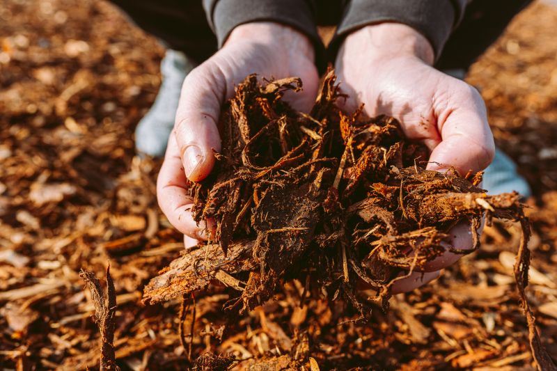 Wood Chips Delivery Cost — Cost of Wood Chips Delivery