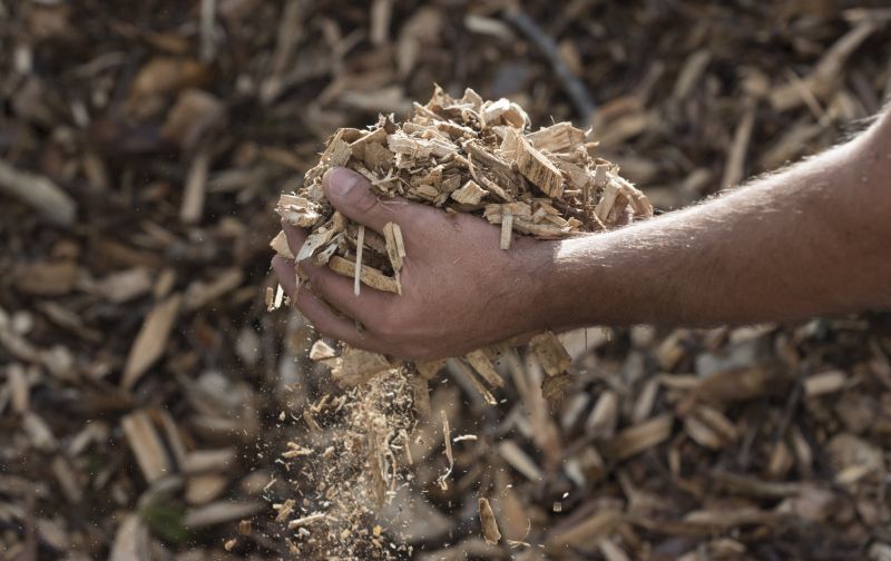Wood Chips Delivery Cost — Cost of Wood Chips Delivery